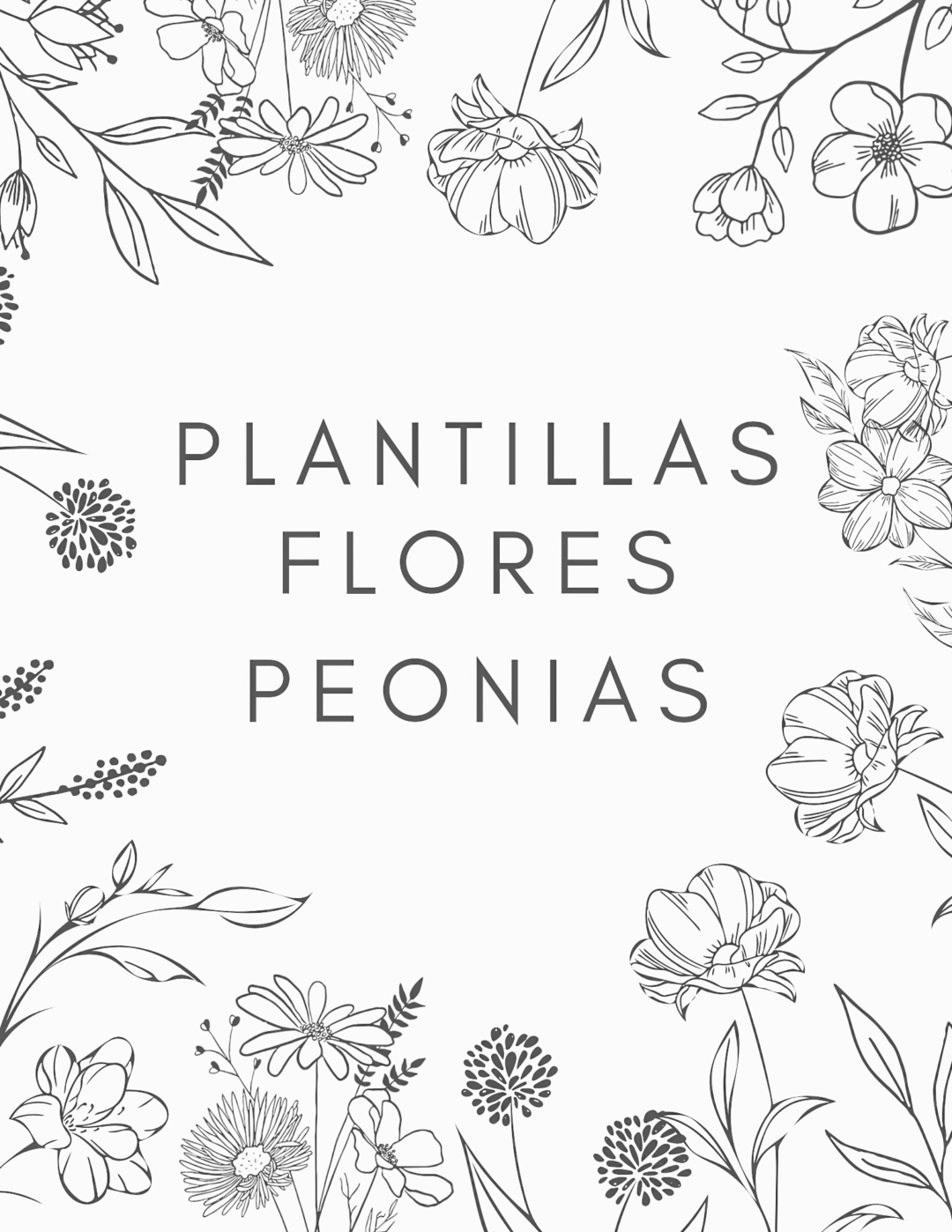 20240307 085336 0000